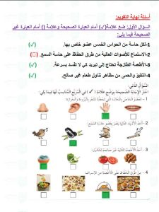 حل تقويم فصل الحواس الخمس علوم الصف الأول
