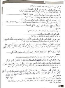 حل كراسة عملي فيزياء الصف الحادي عشر الفصل الأول