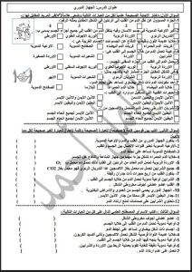 أوراق عمل الجهاز الدوري علوم الصف الثامن الفصل الثاني