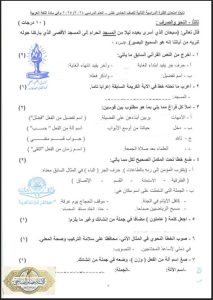 اختبارات نحو للغة العربية الصف الحادي عشر الفصل الثاني