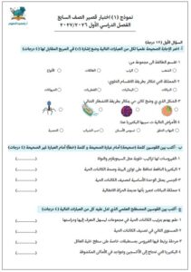 نماذج اختبار القصير علوم الصف السابع الفصل الأول 2026-2027